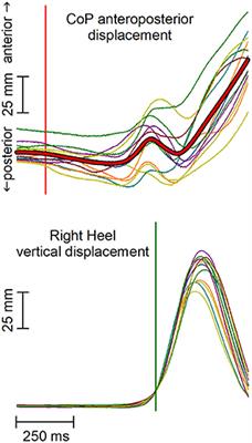 A Novel Viewpoint on the Anticipatory Postural Adjustments During Gait Initiation